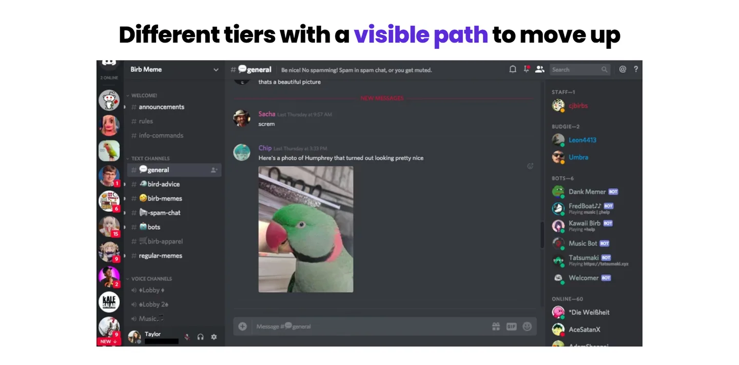 Different tiers with a visible path to move up, in NeuroGum's creator Discord