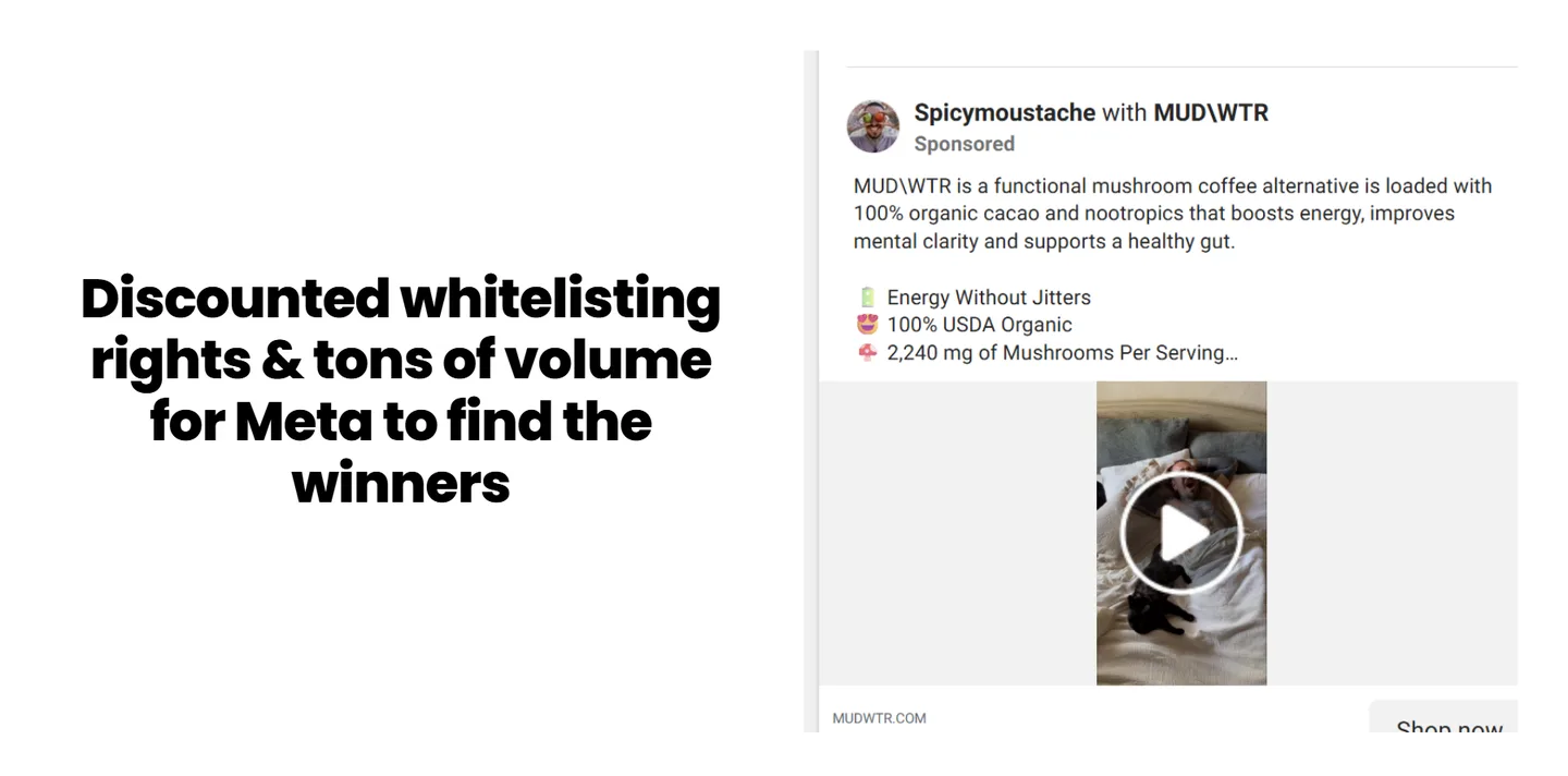 Discounted whitelisting rights and tons of volume for Meta to find the winners