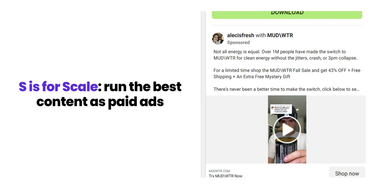 S is for Scale: run the best content as paid ads