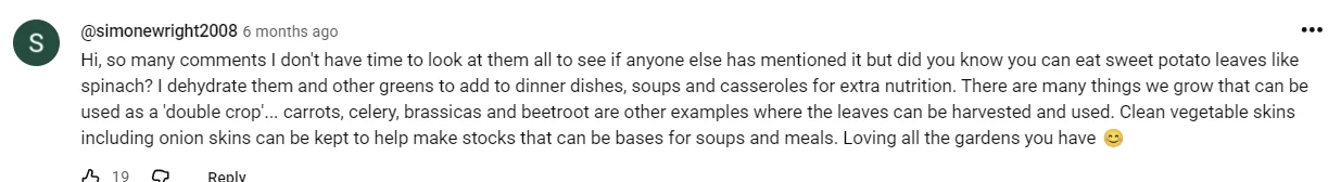 A YouTube comment from a real viewer sharing a detailed tip back to the host