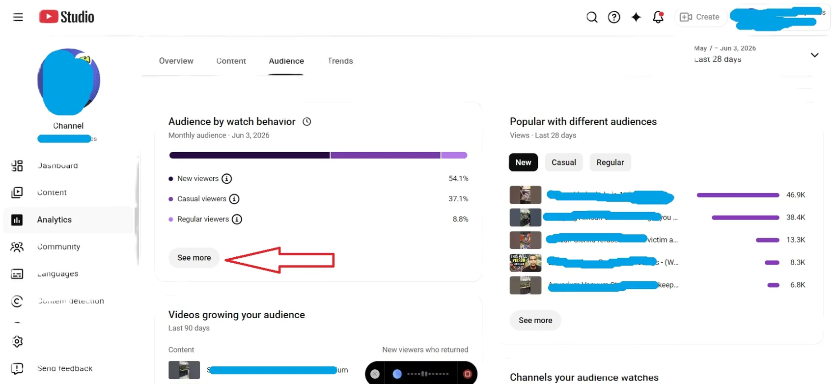 YouTube Studio Analytics, Audience tab, See more under audience by watch behavior