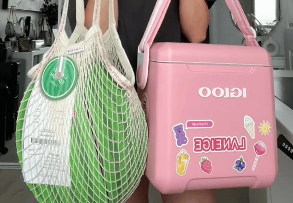 Laneige&rsquo;s pink cooler and a watermelon in a net bag