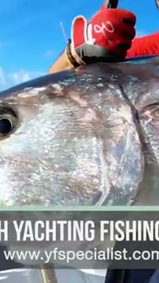 Charter x BlacktipH reel